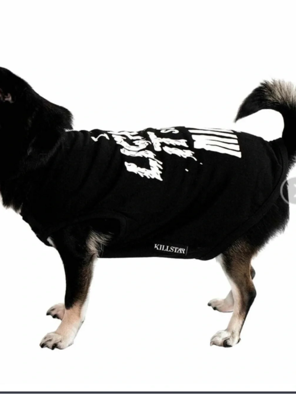 Killstar new tags